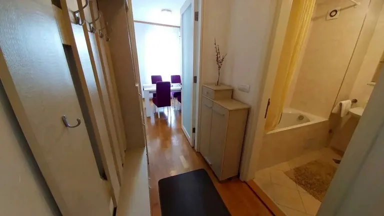 TRIM - one-bedroom apartment in New Belgrade (Belvil)