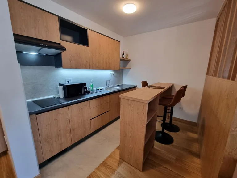 ELIKSIR - one-bedroom apartment in New Belgrade (West 65)