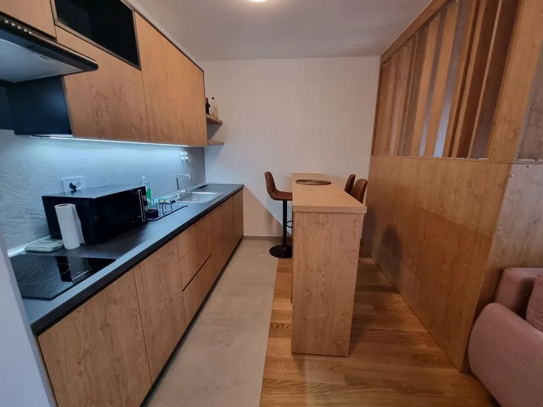 ELIKSIR - one-bedroom apartment in New Belgrade (West 65)